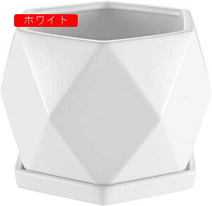 Aؔ 픫  ϗtA Mt v^[  ꌊt  v^[ CeA Vv T{e