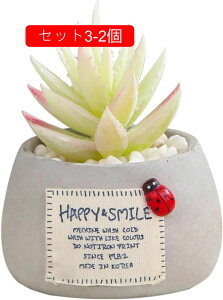 ~ ϗtA ~j  tFCNO[ A A lHϗtA  nI  CeA  ItBX e[u X  u ͂Ȃ b炸 蕨 