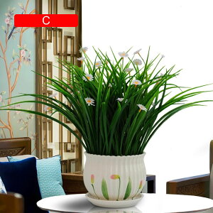 tFCNO[ ϗtA  ΐA { ͂Ȃ b炸 lH A ~ CeA ItBX ƒ X  u ԃZbg rO///ʑ 蕨 v