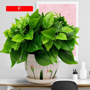 tFCNO[ ϗtA  ΐA { ͂Ȃ b炸 lH A ~ CeA ItBX ƒ X  u ԃZbg rO///ʑ 蕨 v