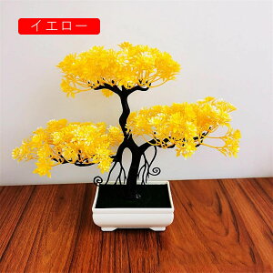 ϗtA  A ւ̉ lHϗtA tFCNO[  24cm ~ CeA  ItBX X  u ͂Ȃ b炸  JXj 蕨 v[g o