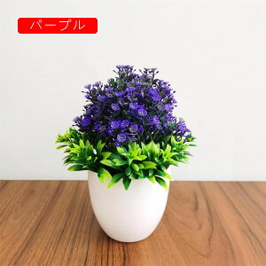 ϗtA  t  lH A  ~ CeA ItBX X  u ԃZbg { ͂Ȃ bsv rO///ʑ/Qp tFCNO[