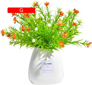 ϗtA  JX~ ԕrt tFCNO[ { ͂Ȃ bsv lH  CeA ItBX X  rO//ʑ/Qp A  蕨 v