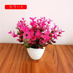 ϗtA  [K A ԃZbg lHϗtA tFCNO[ { ~ CeA  ItBX X   u ͂Ȃ b炸  蕨 v[