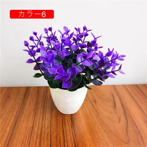 ϗtA  [K A ԃZbg lHϗtA tFCNO[ { ~ CeA  ItBX X   u ͂Ȃ b炸  蕨 v[