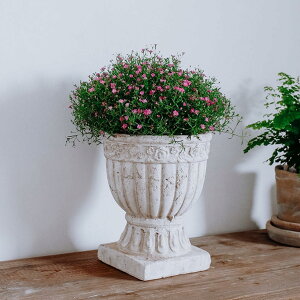 v^[ AeB[N ^  pv^[ T{e ꌊ v^[ v^[^ S 傫 Aؔ pAؔ X^CbV c|bg ^Cv1 