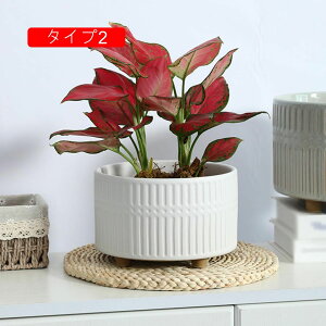 Aؔ 픫  eʂՂ  v^[ A y ϗtA t k   CeA M pv^[ A|bg ^Cv1 x_ Ԓd   A