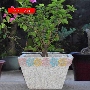 Zg K[fjOCeA w̍Aؔ Aؔ Ae ^ ϗtAAؔ v^[ t[|bg K[f|bg F |pi CeA w ^Cv1 