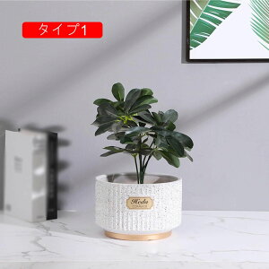 Aؔ  rEt ϗtA v^[|bg 픫  Aؔ CeA ꌊ v^[ ی^ ^ ^Cv5 ^Aؔ ϗtAAؔ AeB[N Apv