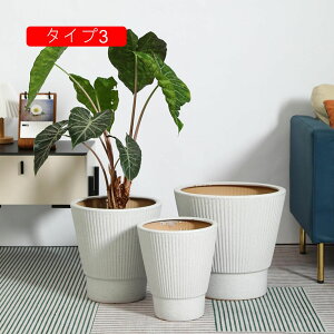 v^[^ rEt Aؔ  Vv v^[ ȃCeA v^[ A |pi v^[|bg KW} pL Aؔ t[|bg ʋC