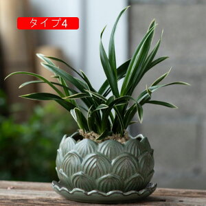 v^[ g Z~bN F y Ԃ̌^ t[|bg T{e|bg K[f|bg ^Cv2 t 뉀 z[  Aؔ pv^[ Aؔ ϗtAAؔ Jo