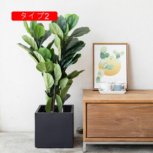 pv^[ ^ ZgAؔ ^Cv1 k 29*29cm XNGA^  pv^[ A t[|bg Apvg|bg Ԕ |pi pAؔ ʋC悢