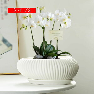 Aؔ   k ^  ^Cv1 󂯎Mt ϗtAAؔ ~` ̃v^[ L A|bg Z~bN vg|bg t T{e|bg vŒ