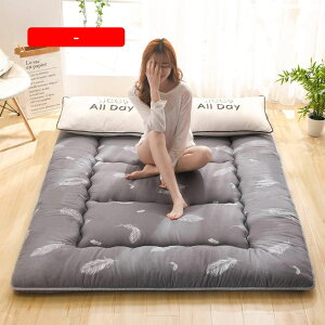 ~zc VO 􂦂 ق̏oɂ RۖhL hJr ~zc _u 120*200cm y ܂ }bgX  ~pbh   r[`XL\ Q}bg QPi xbhpbh