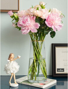 ԕr KX k IV Ԋ Ɏq a }  CeA a mp  rO t[x[X KXԕr  _ Ɏqԕr  t[AWg Ԃт NA