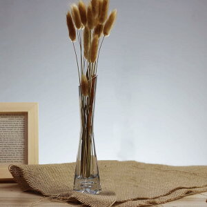 KXԕr KXt[x[X k NA-B ԕr KX{g k͔| CeA kG S KXt[x[X ֑} ԑ  hCt[ ɎqԊ  