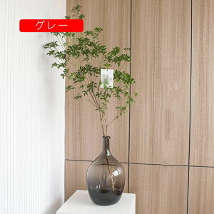 ԕr KX   t[x[X ֑} ͔|  k CeA S G z[ rO Q ItBX KXԕr _ Ԋ a }  m Xg