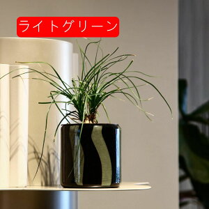 KX ԕr  M J[KX _ t[x[X KX ԕr Ԋ k g KXx[X CG[ Ɏqr INS KXԊ 傫 L Ԃт Ȃ ͔| 