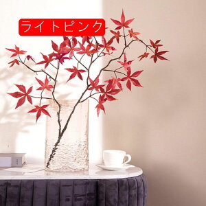 ԕr  t[x[X KX 傫 Ԋ k CeA ͋C] u zCg KXԕr ~^ ͗l Ԃт KX  21*17CM ͔|  } KXԊ