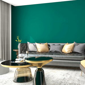 ǎV[ ̂t CNV[g  NX 60cm*3m  k fUC  \ ͂ǎ LoX ǎ V[ diy V[g   rO ʏ Lb