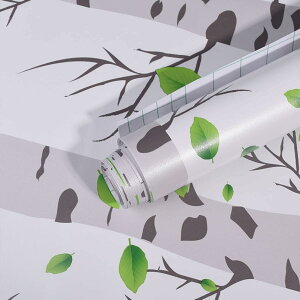 Vv Xe ǎ m a Xg ze r[h Q rO  A ins ǎV[ ϖ pr Ƌ S҂łȒP KxȌ ǎ O[ 