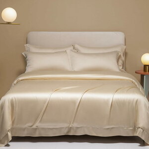 QJo[ VN݂ |ӂƂJo[ s[`XLH lGʗp zcpJo[ 220x240cm DG _炩 I[V[Y HѕzcJo[ ɗD QJo[ |Jo[ z