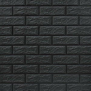  ǎ V[ K  3d A V[ǎ CNV[g  K ʉ ubN ǎ NbVV[g fUC10   K g diy ւ