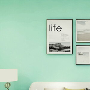 ǎ ̂t fUC9 CG[ F NX   IW eRb^ n }X^[hCG[ gC ʏ  nǎ }J LYɋ h 60cm*3m h~