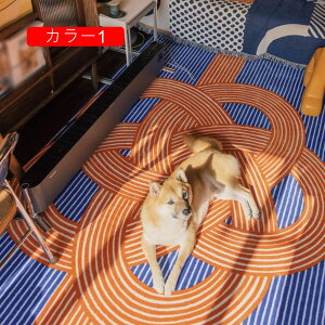 �k�������O�J�[�y�b�g �􂦂郉�O �􉽊w�� ����~�� �_�炩�� �G�R �}�b�g ������� 140*200cm �ϖ��Ր� �h�� �i�� �J���[2 �z�b�g�J�[�y�b�g �I�[���V�[�Y�� �V���� ���O�}�b�g �a��