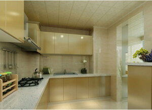 CV[ ǎV[ 40cm*2M ̂t CNV[g n ǎ Lb` EH[XebJ[  JbeBOV[g Lb` ͂ CeA 09 h k e[u