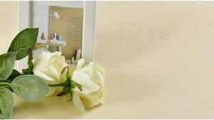 ǎV[  CNV[g ̂t CNV[g JbeBOV[g EH[XebJ[ CeAV[  90cm*2M h 13 diy C ւ  Ǖ