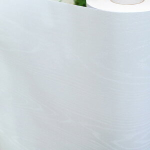 ǎV[ ̂t ǎV[ CV[  h pr B  CNV[g ؖ diy Q Lb` 17 ʏ  rO 61cm*1M gC a