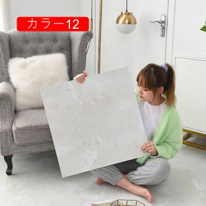 嗝Β t[OV[g 10 \邾 tA^CV[g CNV[g h ϔM gC V[g  DIY CV[g tA^C 60x60cmx10 ی ^C