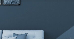 CNV[g n CV[g Ƌ Q   rO 60cm*5M Lb` gC ʏ V[ B \Ă͂ǎ ǎV[ ǎCpV[g SV[g  h