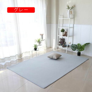���O �􂦂� ���O�}�b�g 60*90cm �J�[�y�b�g �O�~ ���O�}�b�g ���� �����` �V���M�[���O ������� �k�� �X�J�C�u���[ ����~�ߕt 0.5�� 1�� 1.5�� 2�� 2.5�� �� ��[�΍� ��