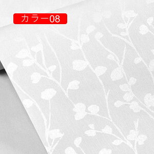 ǎ n CNV[g V[ RN[g k NX ȒP ւ DIY ǎV[  0.6*1m R hA Lb` Vv ǎ gC ʏ ǎ  