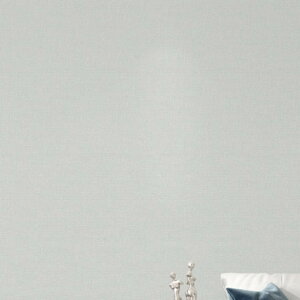 ǎV[ ǎ J[07 n NX 0.8*3m ׂ K  B V[ ͂ǎ ւ zCg  Lb` V[g CNV[g k  diy CeAV[