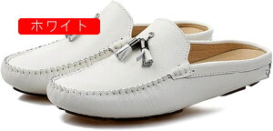 [t@[ hCrOV[Y Y Xb| y JV vC ʋC 傫TCY ₷ JWAV[Y ~ Ȃ t  l ItBX ʋ ʊw 񎟉 jq 