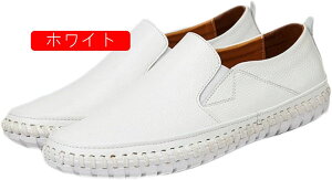 Y hCrOV[Y y Xb| [Jbg NVbNTChSA ₷ EȂ JV V[Y vC _炩 Ȃ ₷ ^]C JWAV[Y E