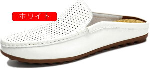 T_ Y ItBXT_ rWlX Xbp T{T_ vC hCrOV[Y y 傫TCY EȂ Xb| ƂȂ XbpT_  Г 