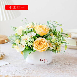 ԕrt  ͂Ȃ VNt[ { sv  k c CeA iX  p Ԍ|p JXj Bep G} A