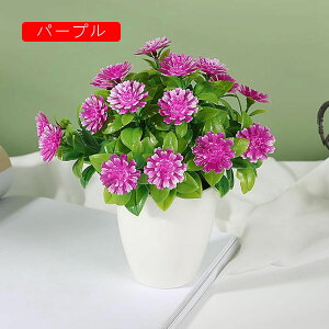 18  ԕȓ lHϗtA { ͂Ȃ sv  G} iX  Lb` ItBX p ̓Mtg IVW[ p[v DIY k