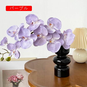 ԕȓ Zbg k Ӓ  { ̓Mtg LO  t[ sN1 뉀 Ԍ|p v[g  iX  VN ͂Ȃ sv 