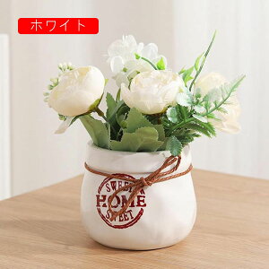  CeA k INS IVW[ ԕrt  iX ʐ^Be a p v[g lHϗtA ԕrt  ~ju[P { sv  A[gt