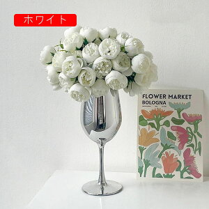 IVW[ ԑ ͂Ȃ o   Ԍ|p j v[g  ʐ^Be LO ̓ }`bN  VN  { u[P  F IN