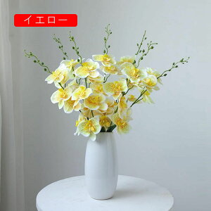 Ӓ ͂Ȃ IVW[   {   Ԍ|p  ʐ^Be j iX a p JXj k v[g sv  p[v V