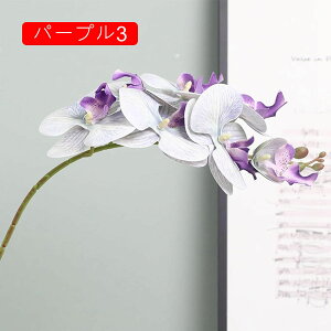 ԑ 3Zbg ͂Ȃ Ӓ p[v4 Ԍ|p j v[g  ʐ^Be LO ̓ }`bN  VN  { u[P  F k D