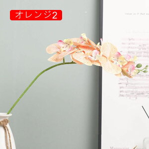 ԑ 3Zbg ͂Ȃ Ӓ p[v4 Ԍ|p j v[g  ʐ^Be LO ̓ }`bN  VN  { u[P  F k D