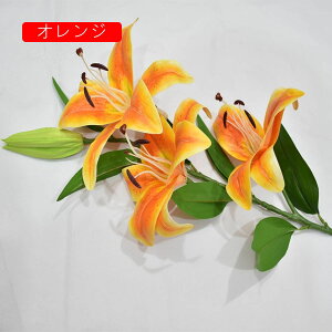  ͂Ȃ  {   ̓Mtg LO  { sv  t[ Vp 뉀 Ԍ|p v[g  iX ԑ VN