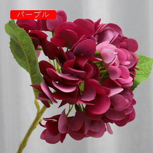 AWTC VN CG[ ͂Ȃ u[P { sv  iX p Ԍ|p  ʐ^Be LO CeA   ԑ